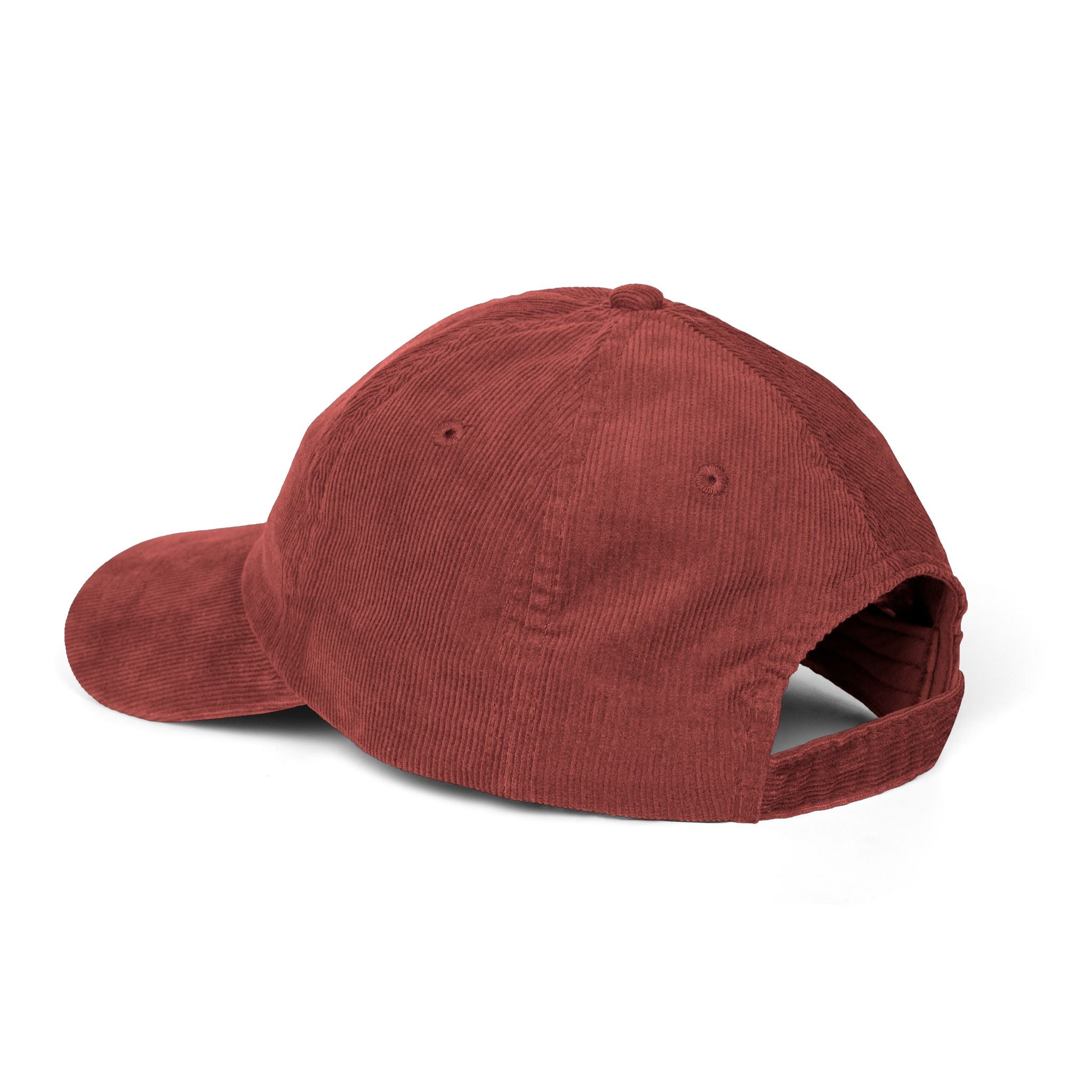 Distressed Hat